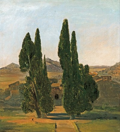 Cypress Trees at the Villa d